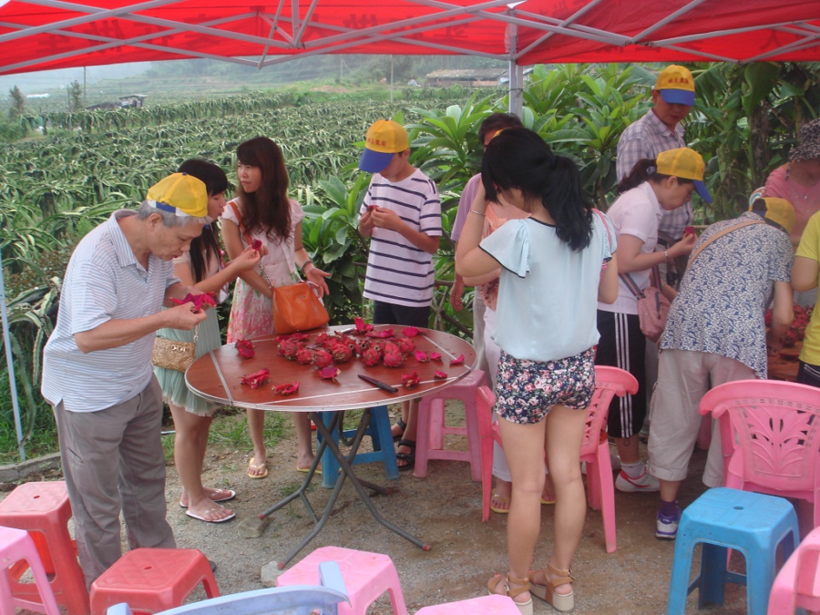 火龍果,能者橡膠,<a title='鼠標墊廠家' target='_blank' href='http://www.nmbc.com.cn/' class='seolabel'>鼠標墊廠家</a>