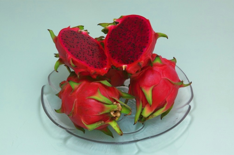 火龍果,能者橡膠,<a title='鼠標墊廠家' target='_blank' href='http://www.nmbc.com.cn/' class='seolabel'>鼠標墊廠家</a>