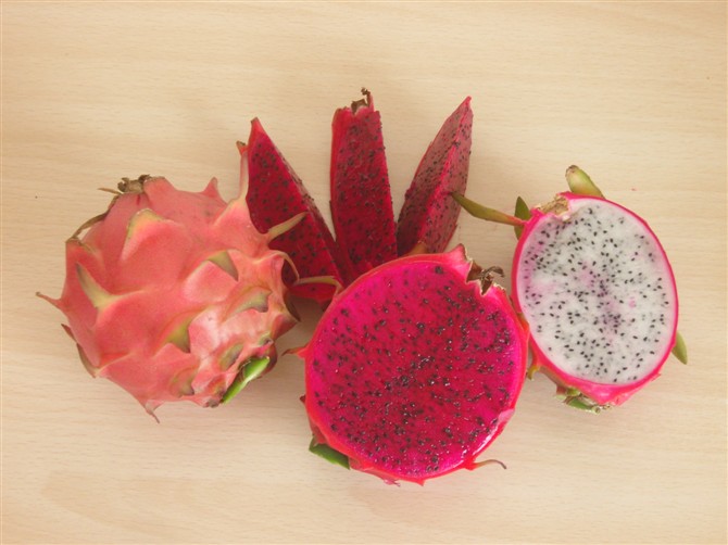 火龍果,能者橡膠,<a title='鼠標墊廠家' target='_blank' href='http://www.nmbc.com.cn/' class='seolabel'>鼠標墊廠家</a>