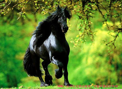 網購一天內可無理由退貨，對<a title='鼠標墊定做' target='_blank' href='http://www.nmbc.com.cn/' class='seolabel'>鼠標墊定做</a>的影響