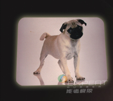 動物布面鼠標墊